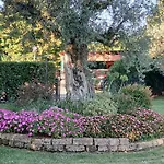 L'introvabile Luxury Τσεζένα