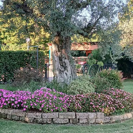 L'introvabile Τσεζένα