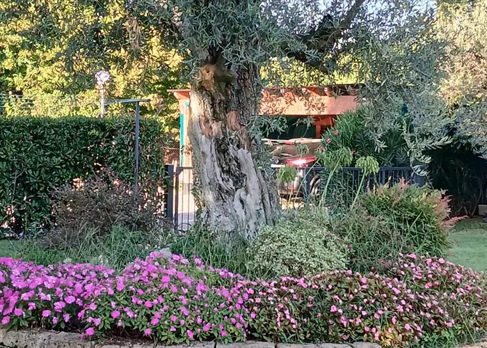 L'introvabile Cesena